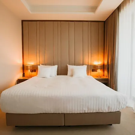 Stein Collection Hotel