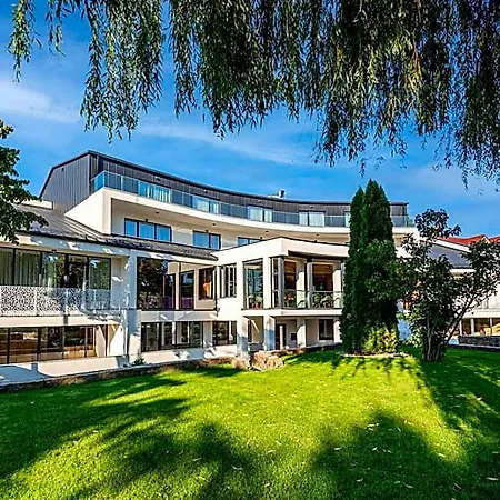 Stein Collection Hotel