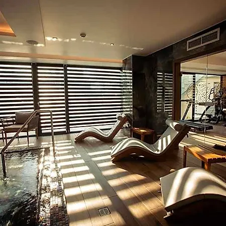 Stein Collection Hotel